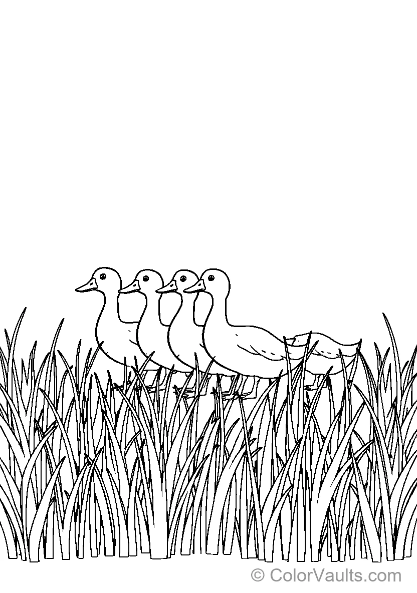 Kettingen door gras