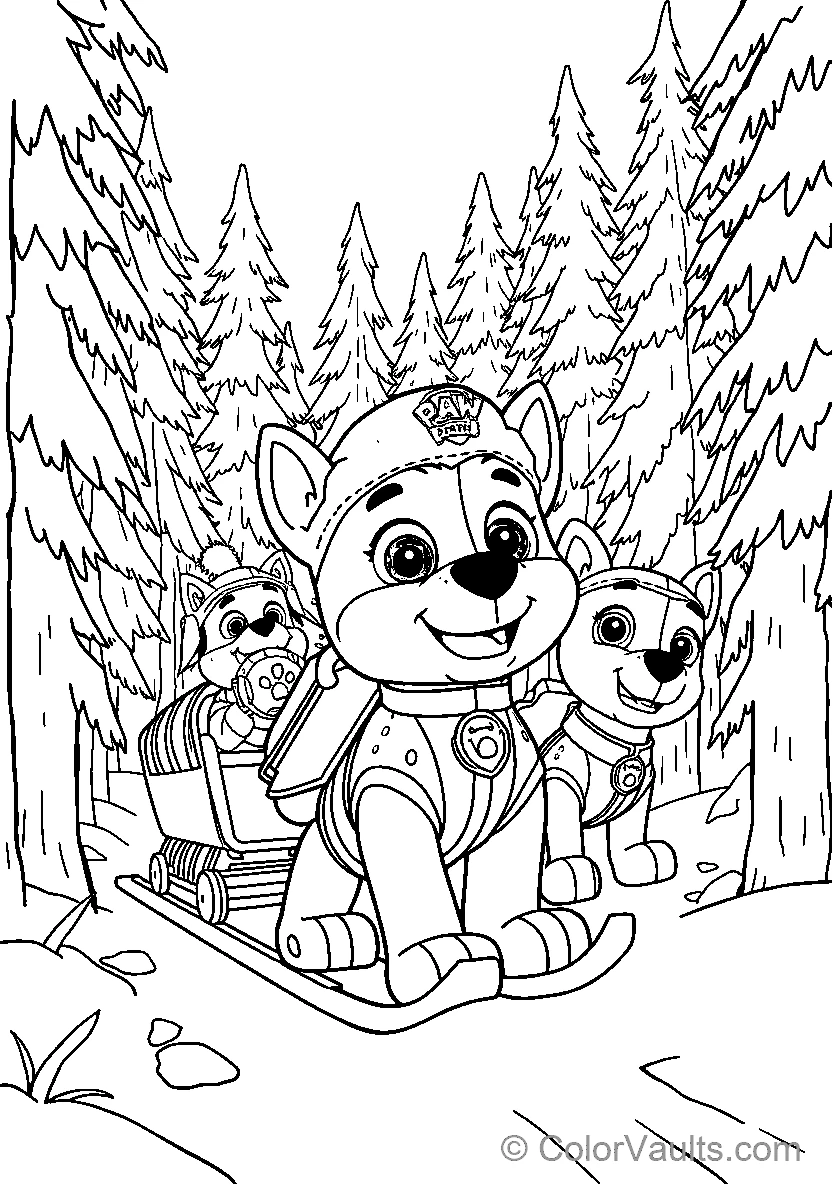 Paw Patrol avontuur in het bos