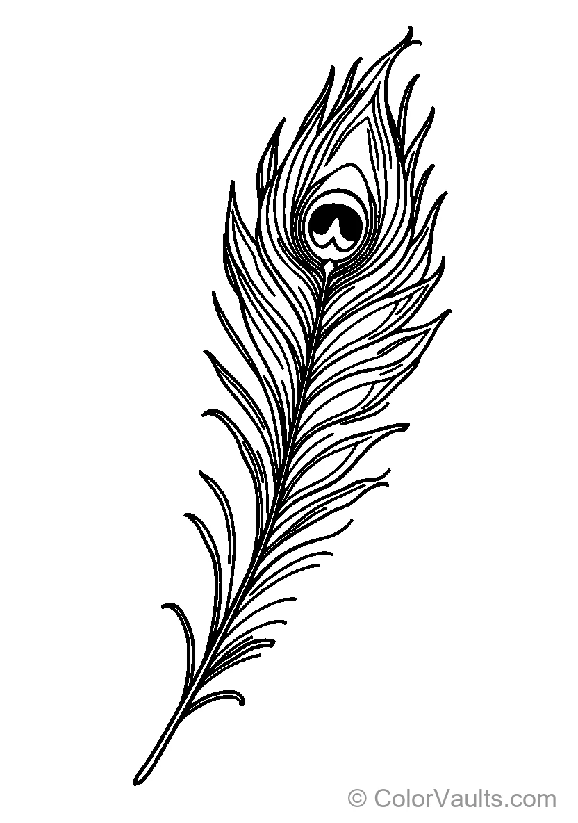 Peacock Feather