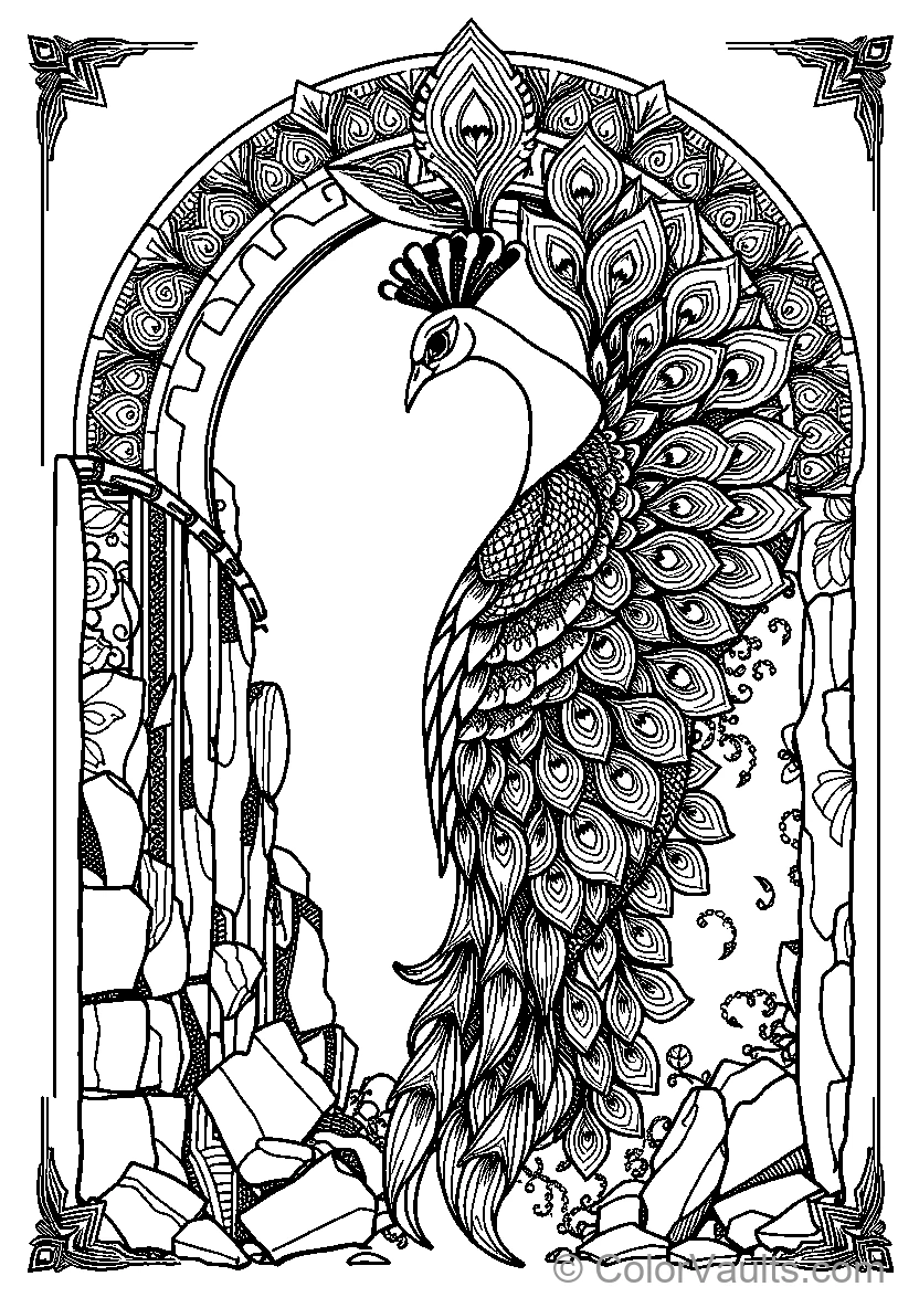 Peacock Mandala Arch