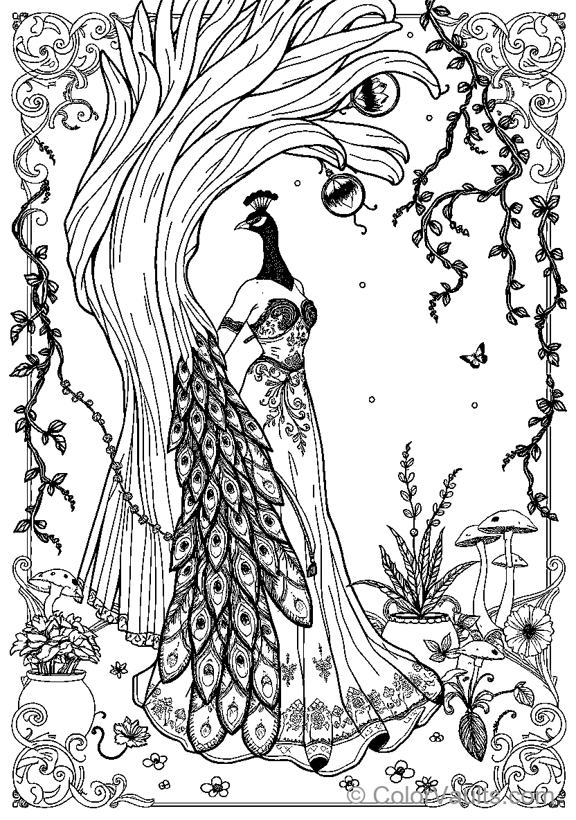 Peacock In Nature