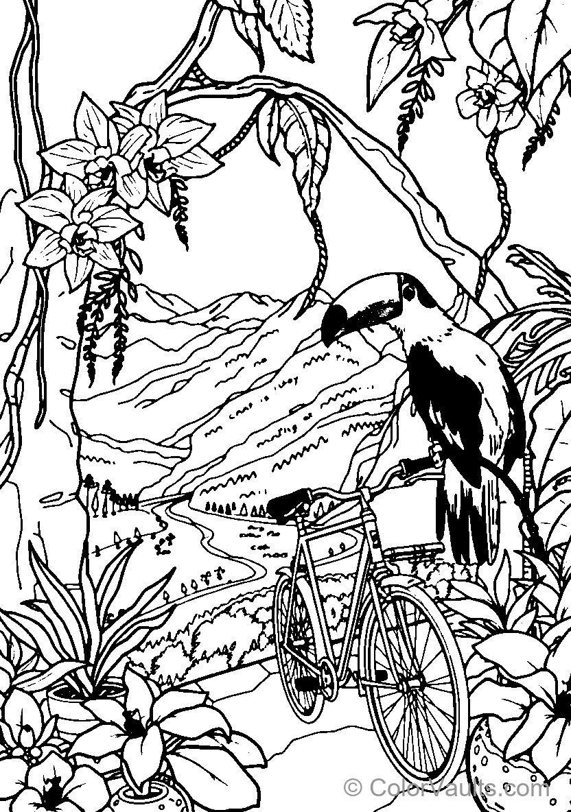 Toucan With Bicycle In Jungle Landscape