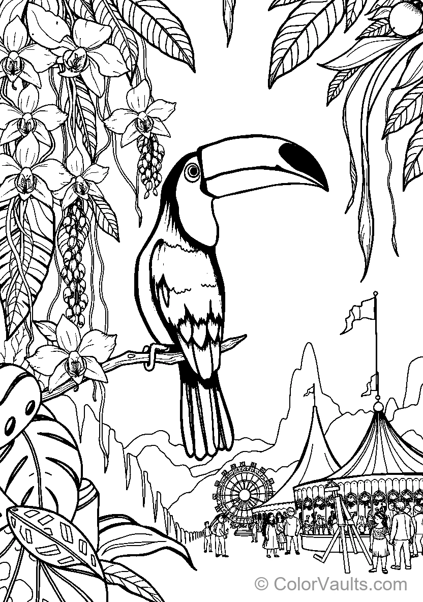 Toucan Bird