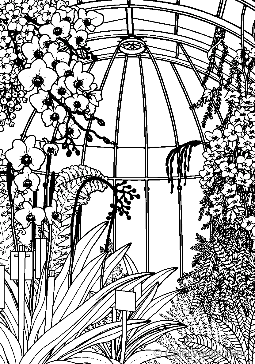Greenhouse Botanicals
