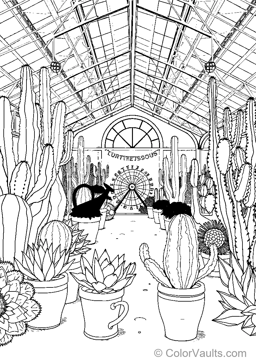 Greenhouse Cactus Collection