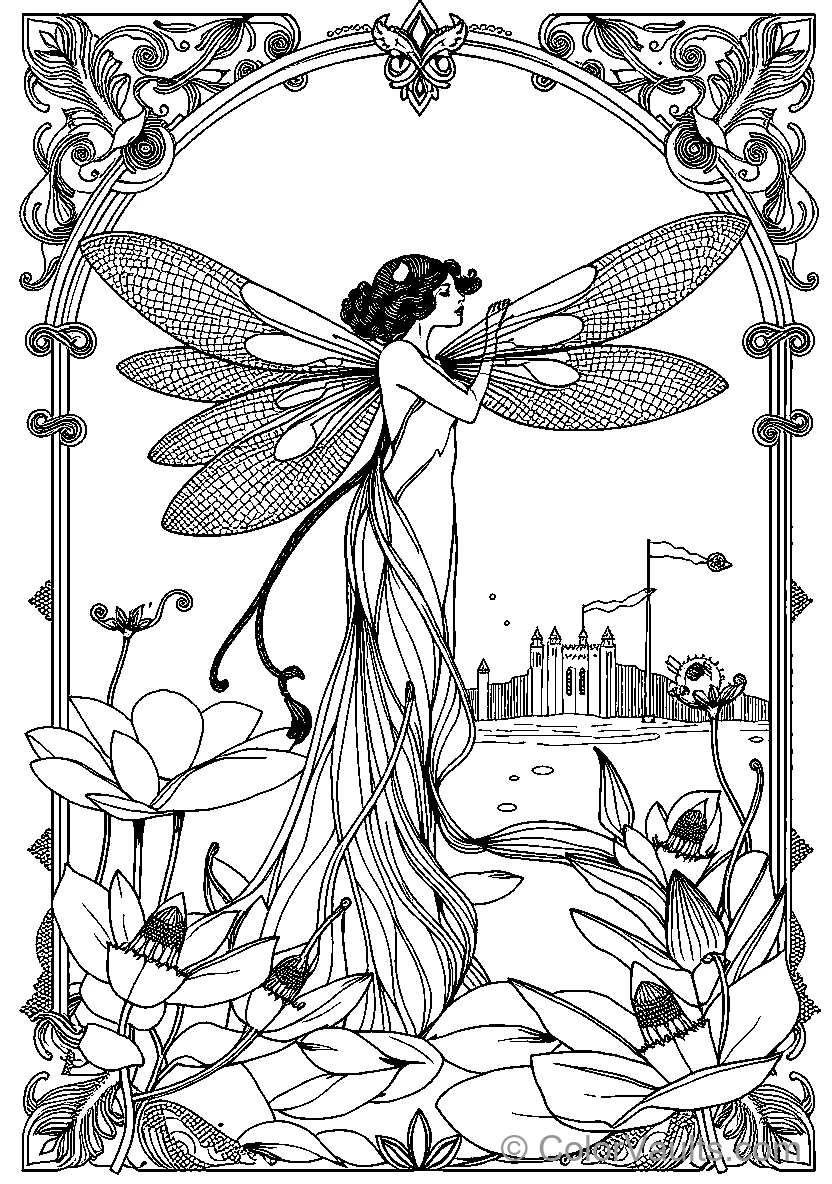 Fairy Dragonfly