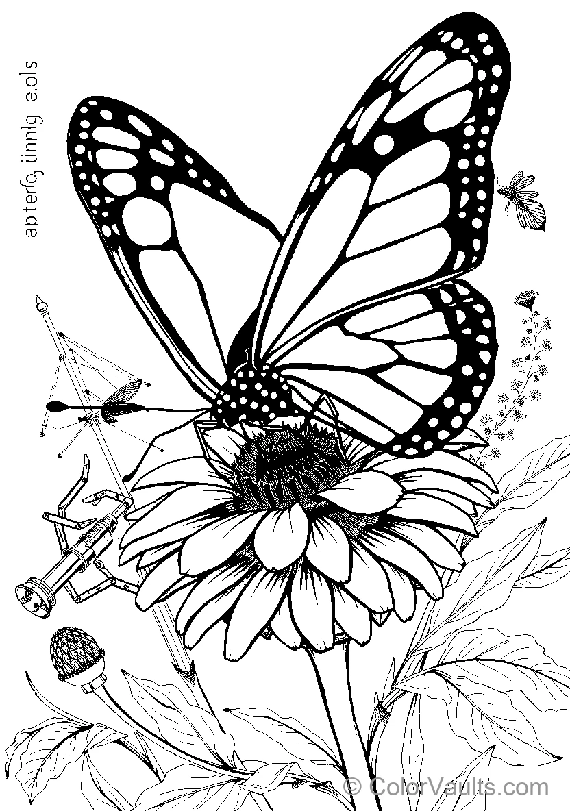 Butterfly and Flower