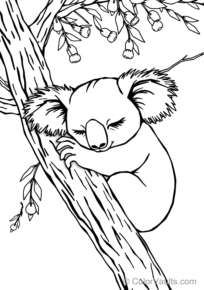 Cute Sleepy Koala Hugging a Thick Tree Branch Asleep