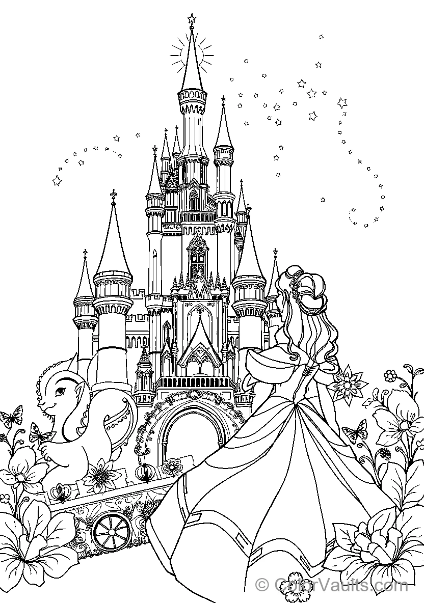 Disney Princess Castle