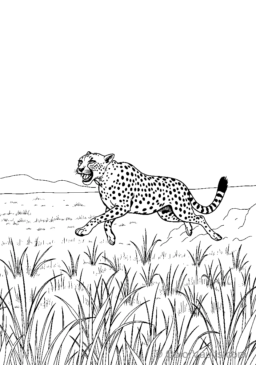 Cheetah Sprinting Through Grass 1