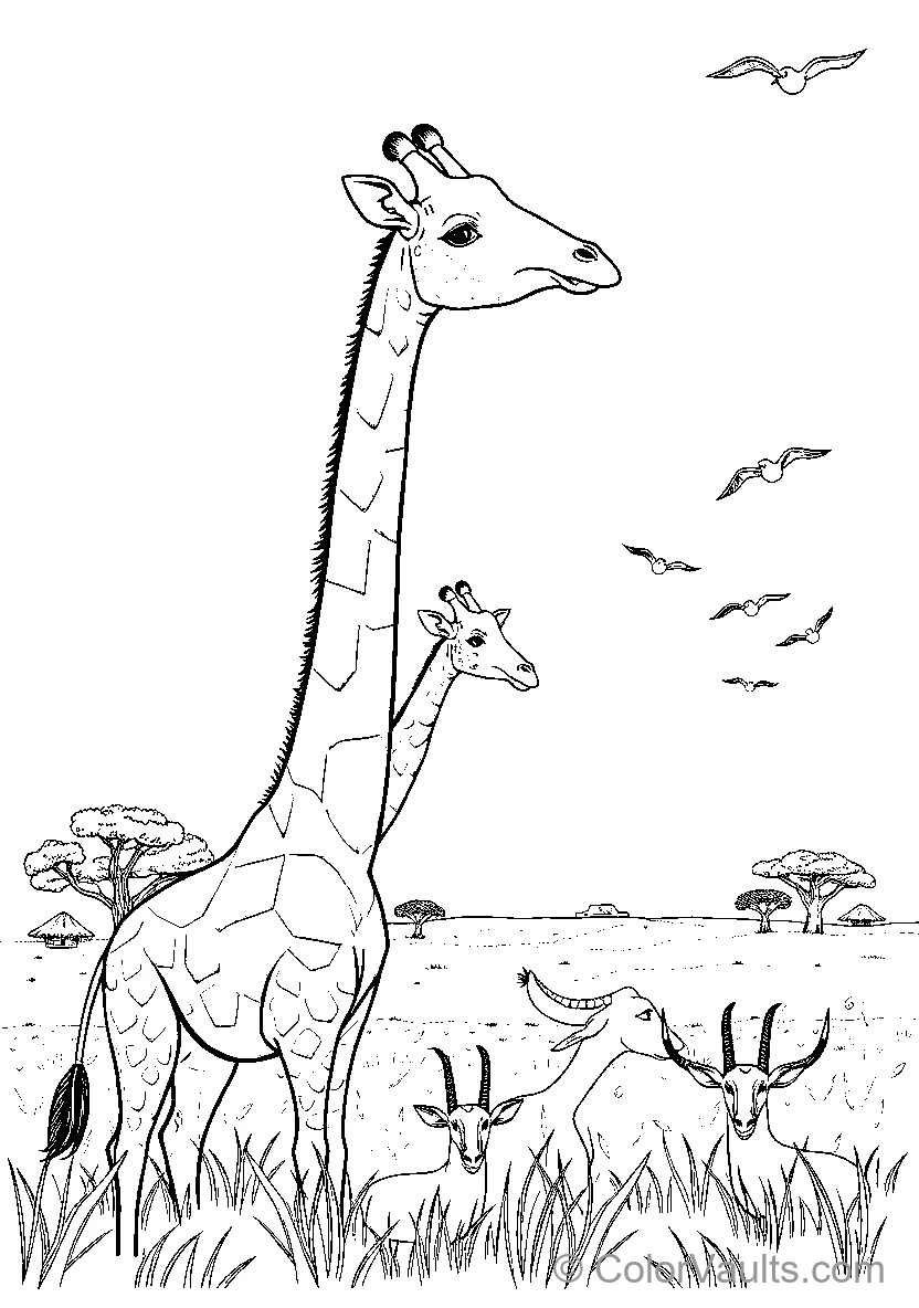Giraffe Family Gathering