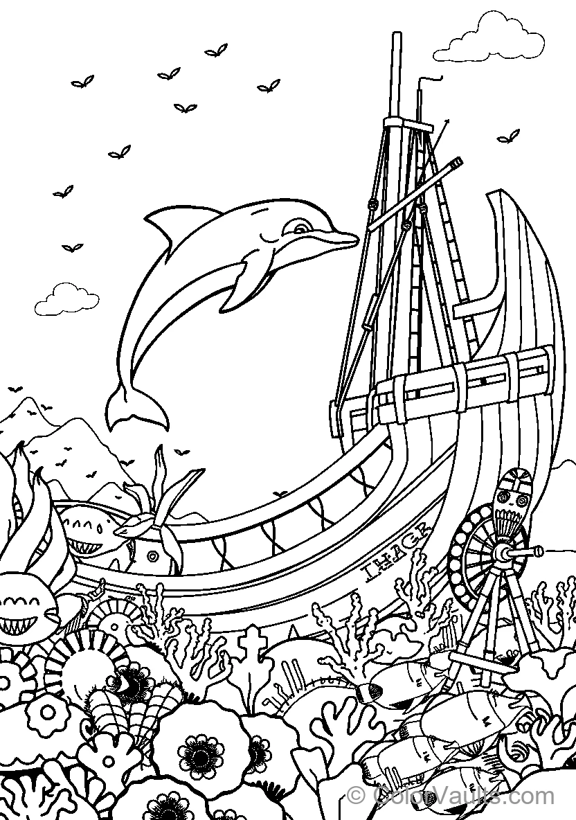 Dolphin Adventure