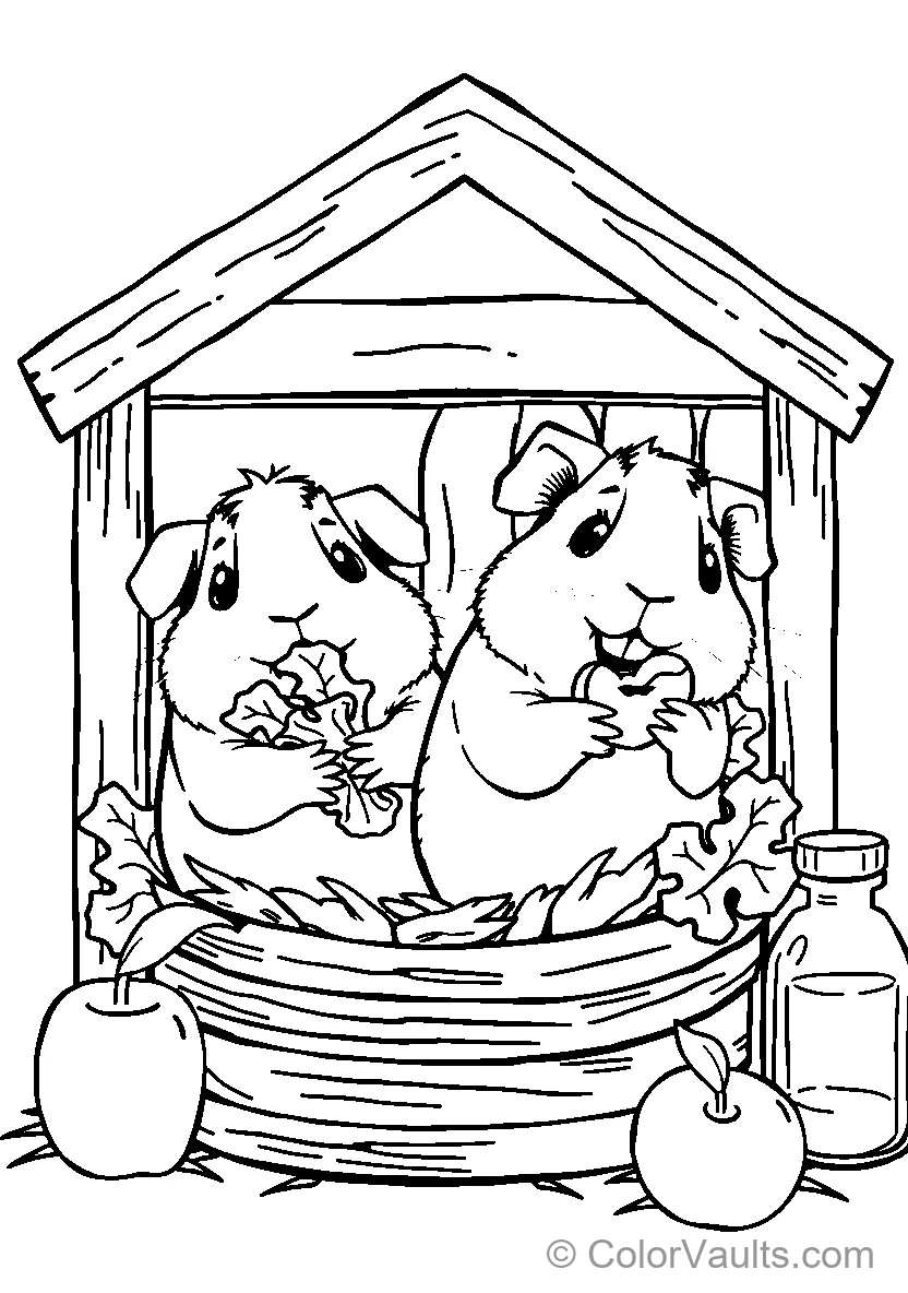 Guinea Pigs Eating Vegetables