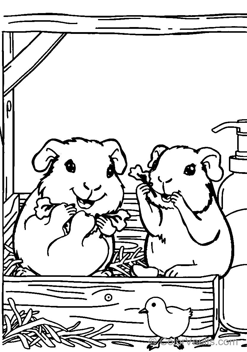 Guinea Pigs Snack Time