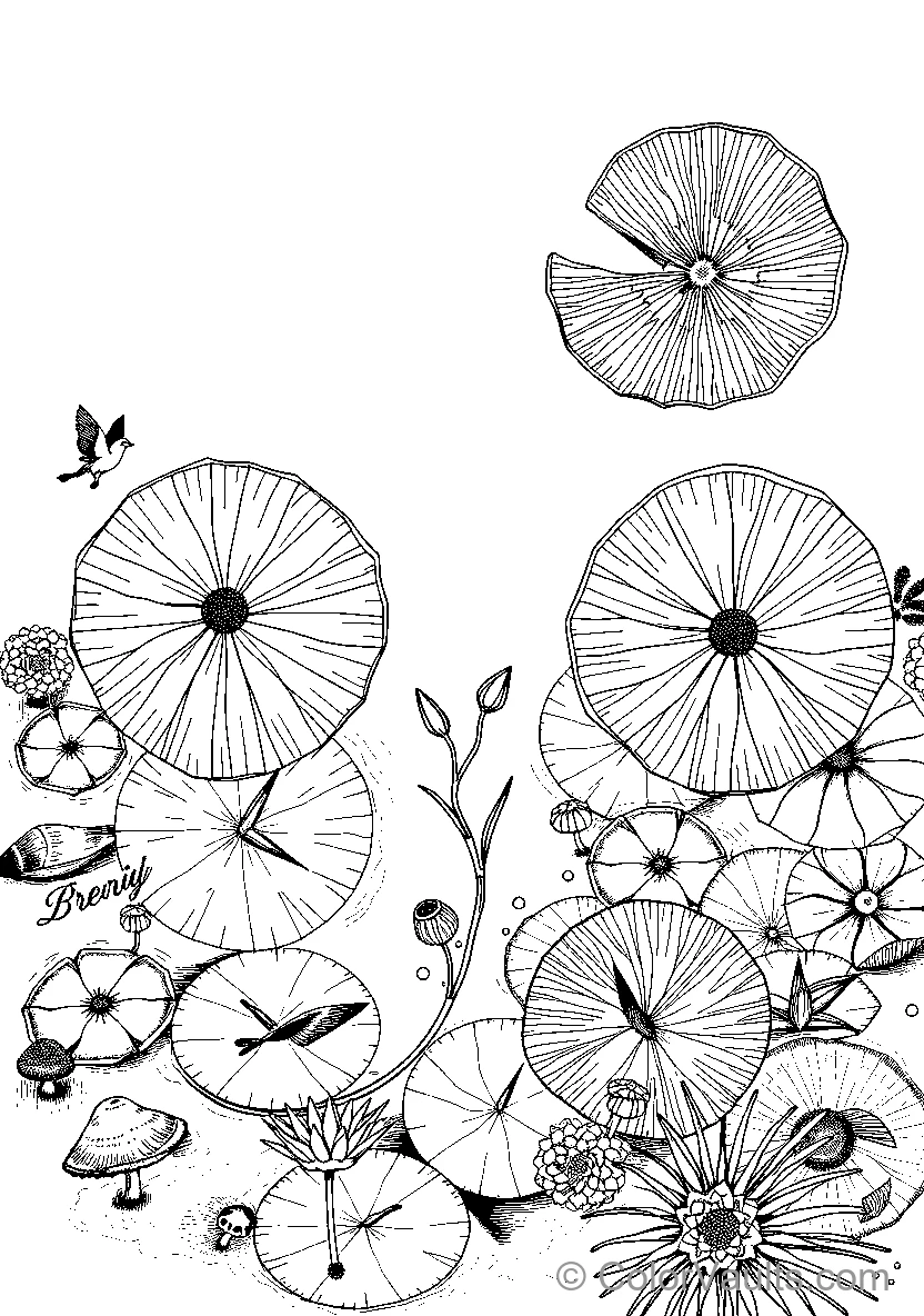 Black And White Floral Illustration (Scene 5)