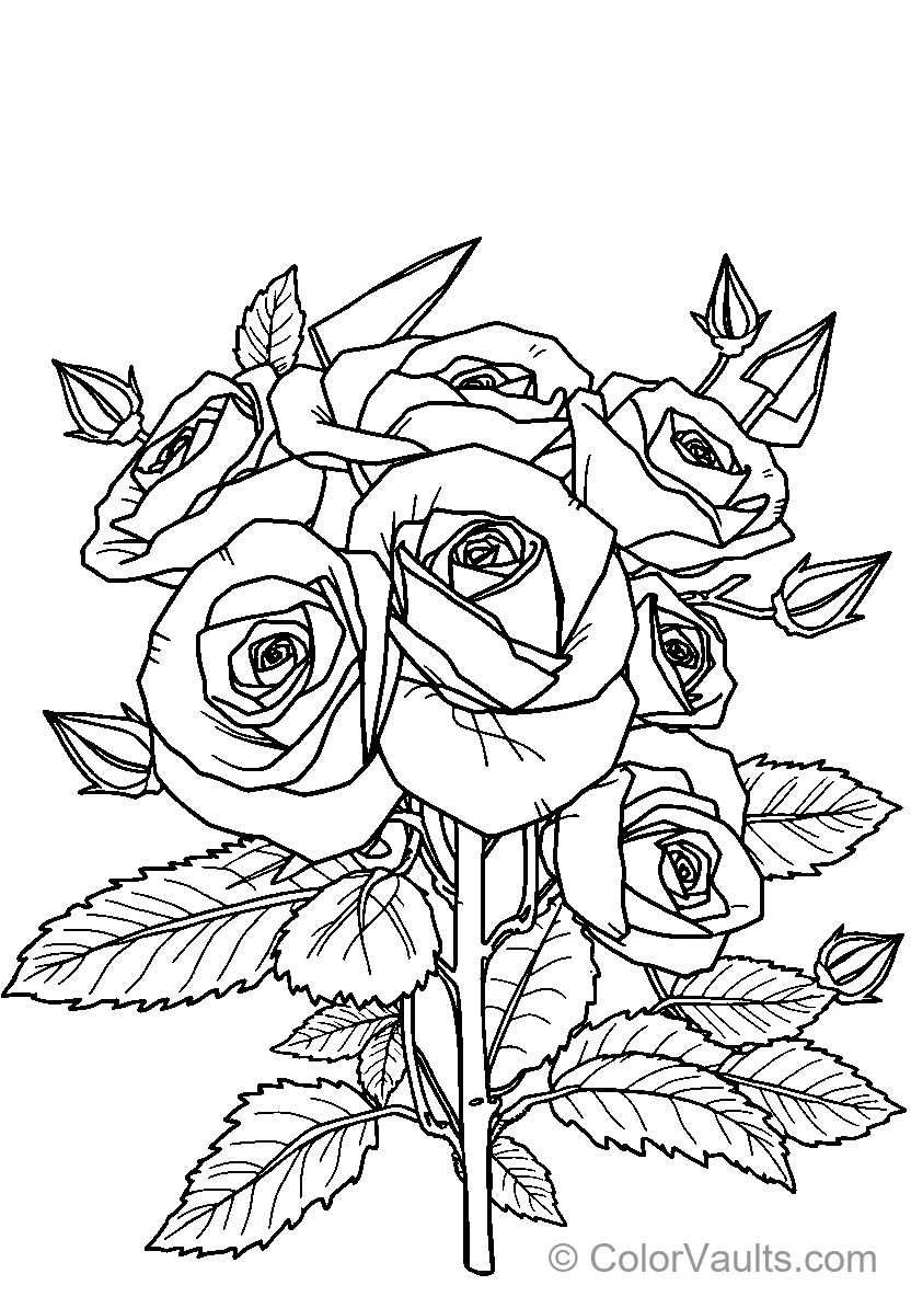 Bouquet of Roses