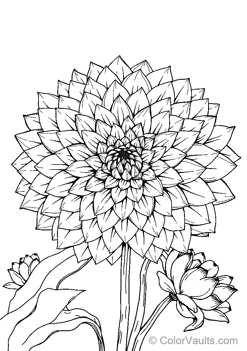 Detailed Flower