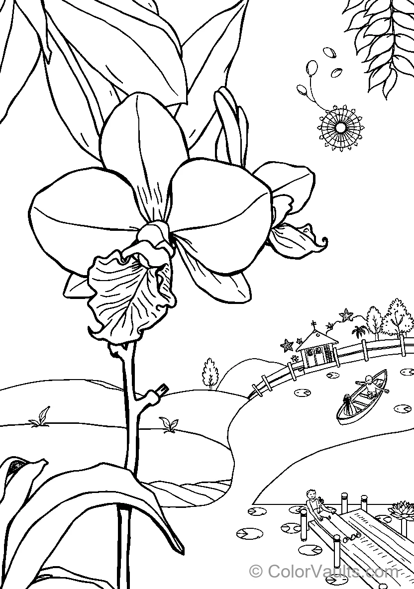 Orchid Flower Scene