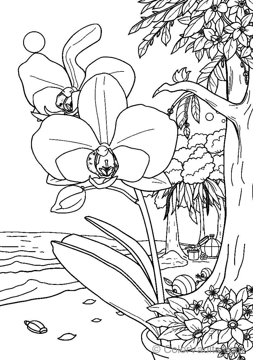 Orchid Garden (Scene 3)