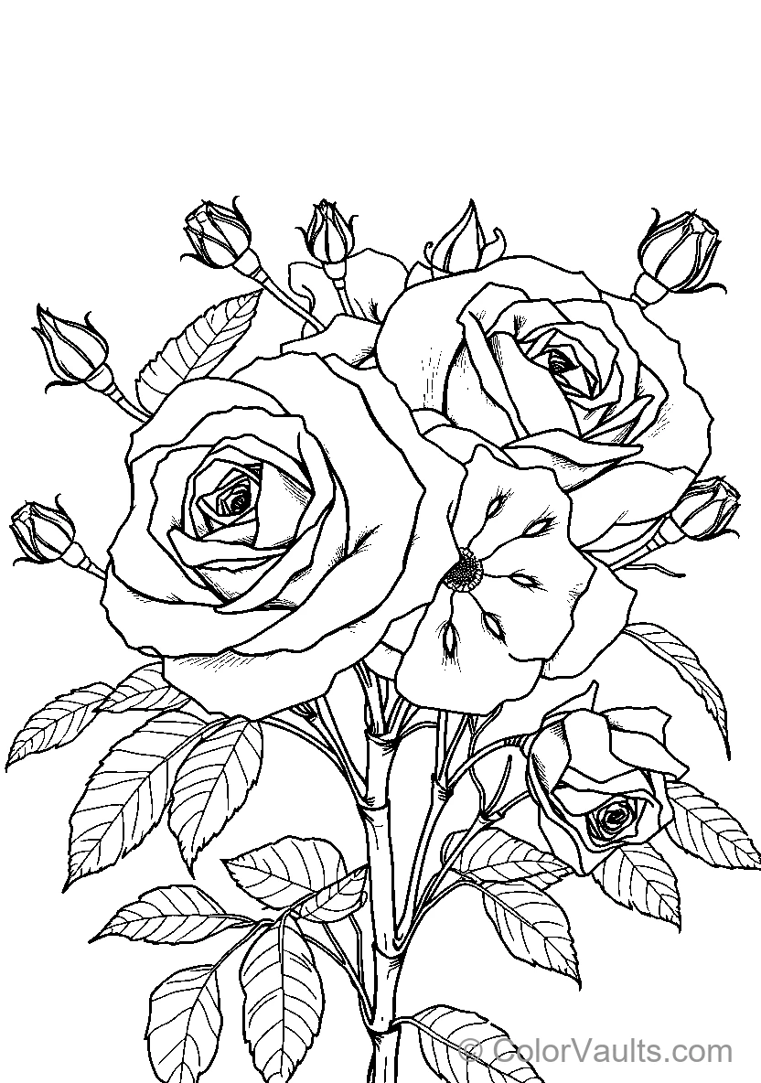 Roses In Bloom (Scene 3)