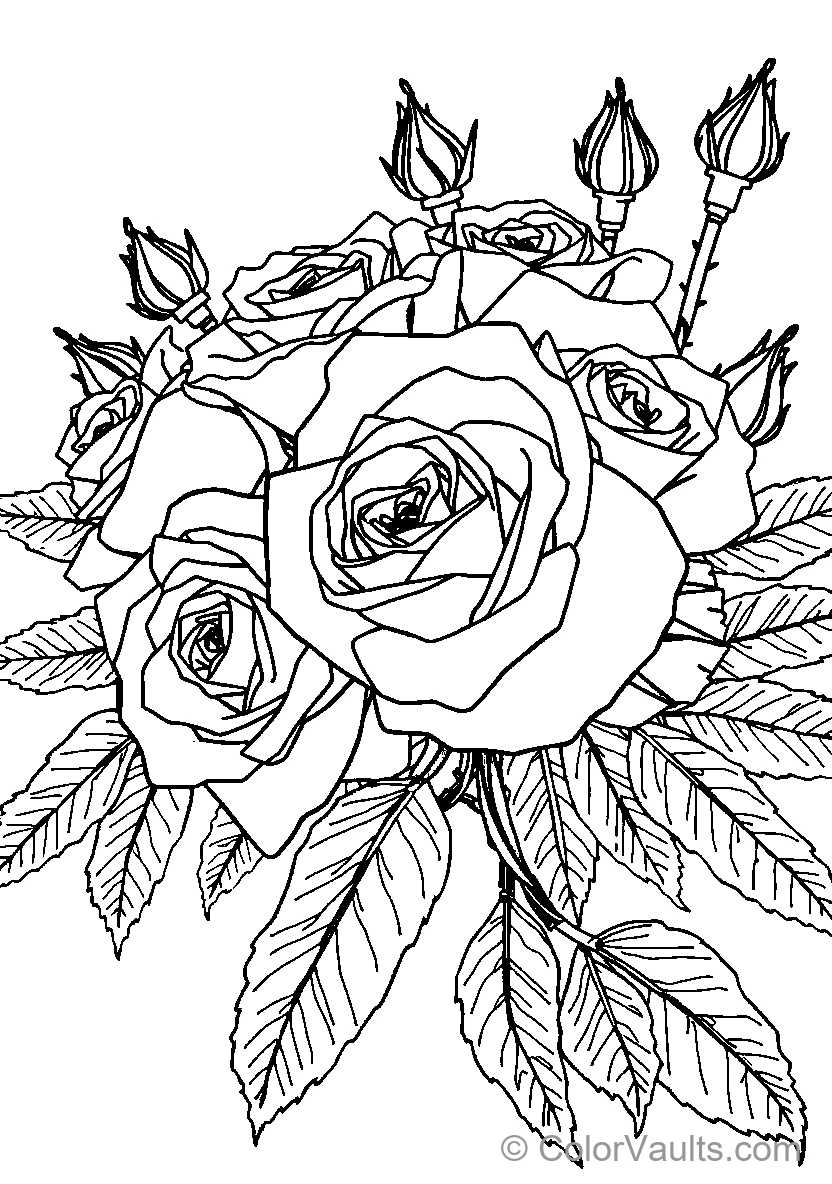 Roses In A Bouquet