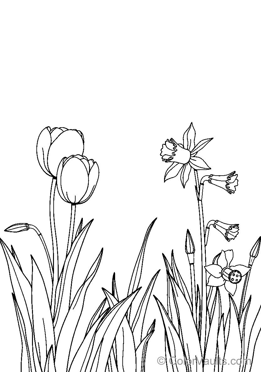 Spring Flowers