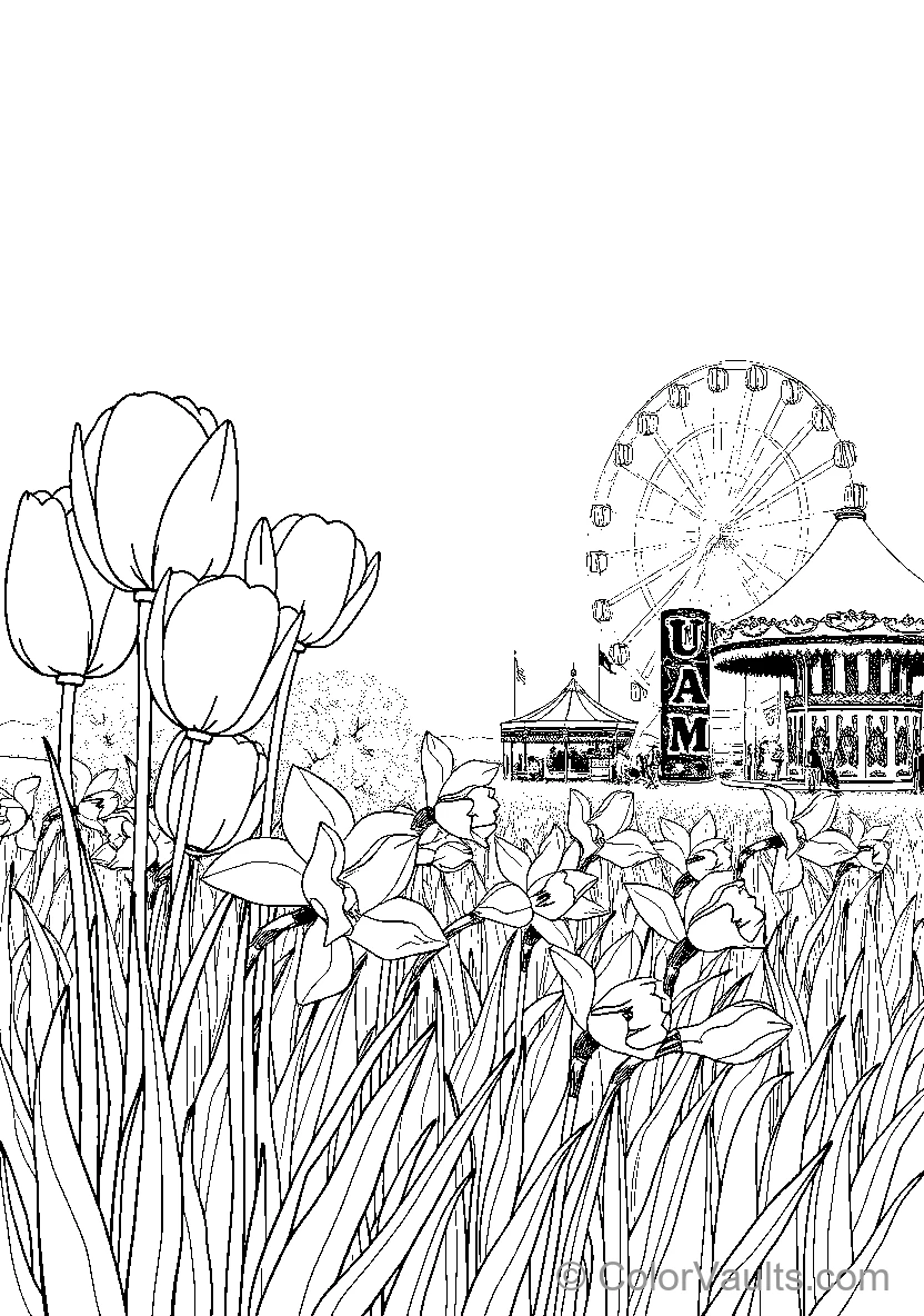 Tulip Carnival