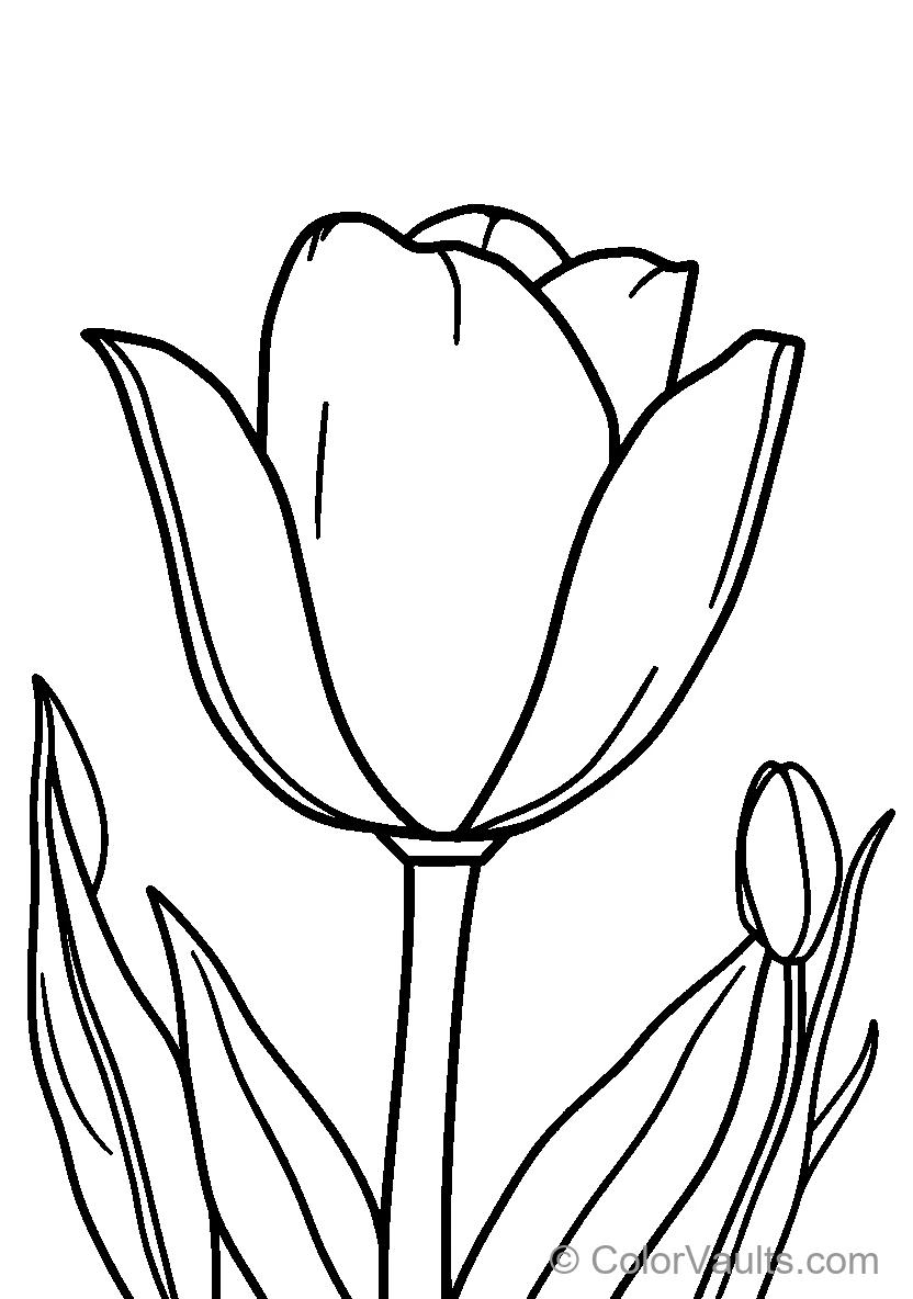Tulip Flower (Scene 5)