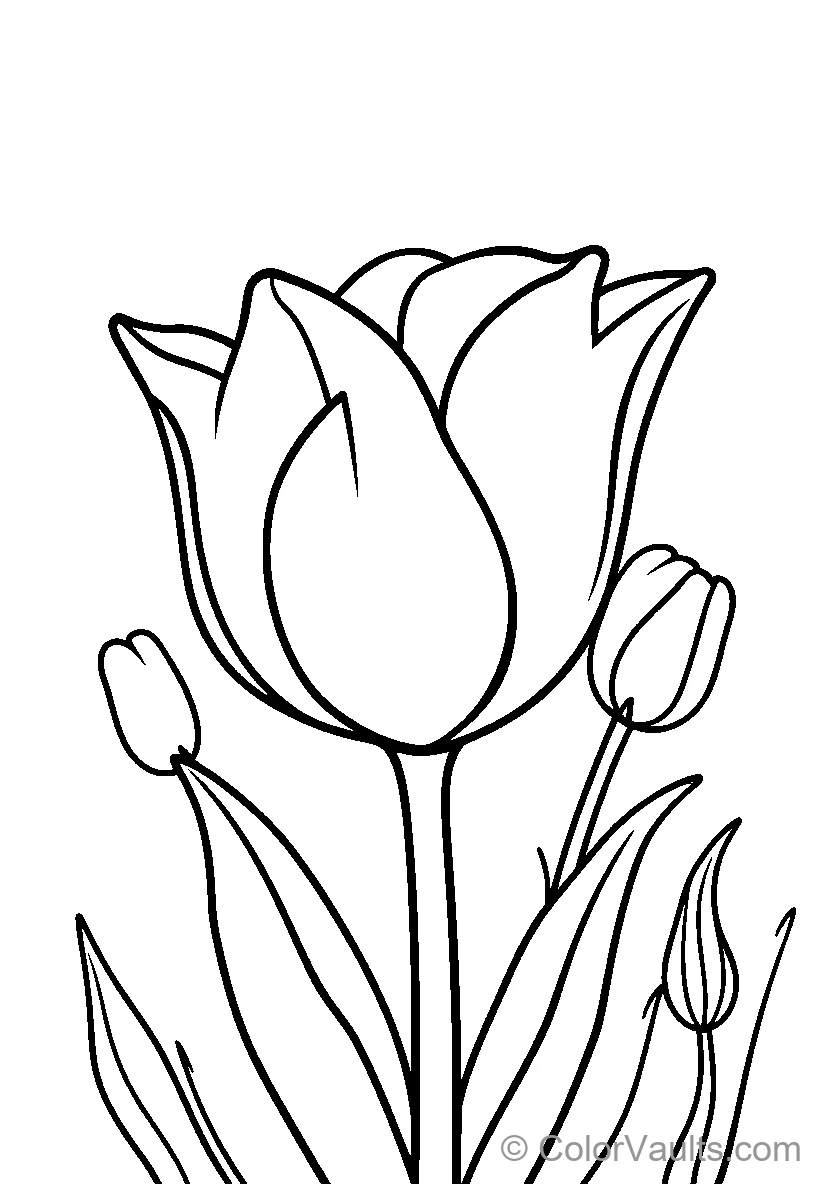 Tulip Flower (Scene 7)