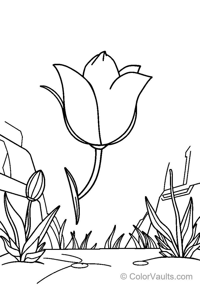 Tulip Flower In A Garden