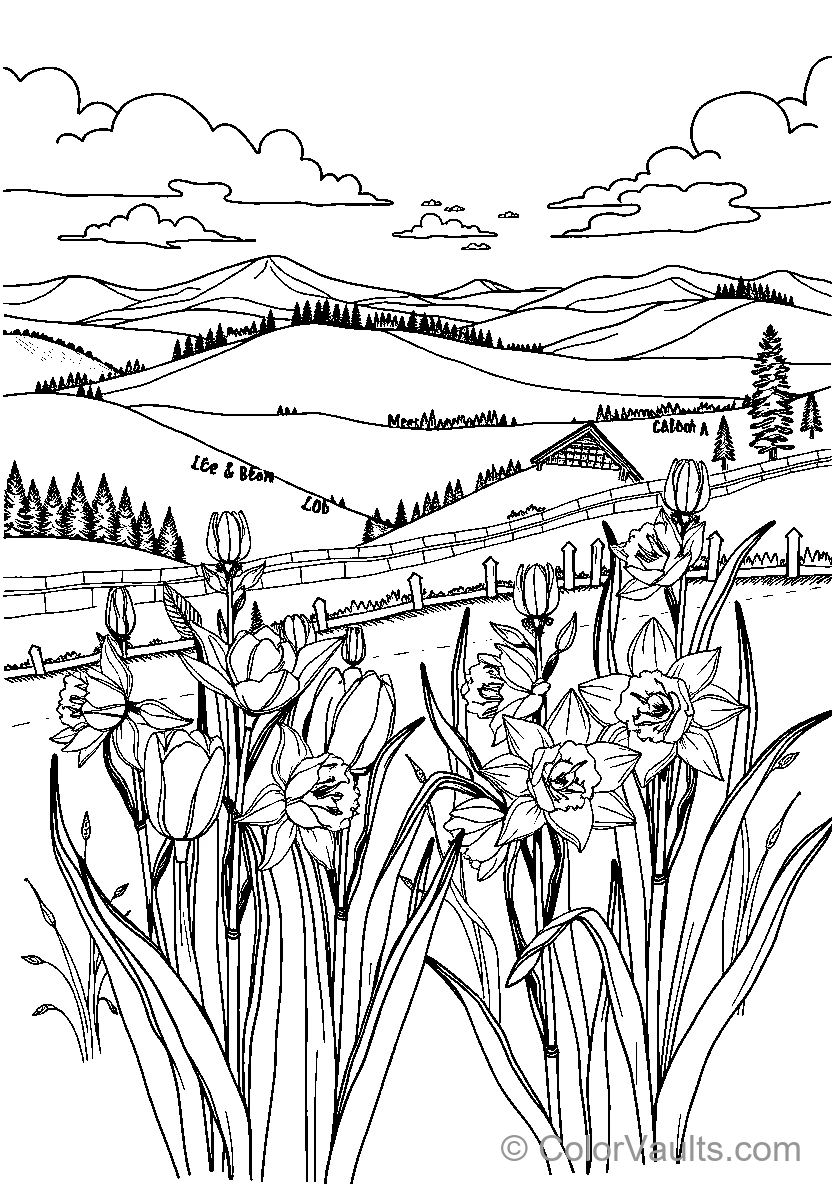 Tulip Landscape