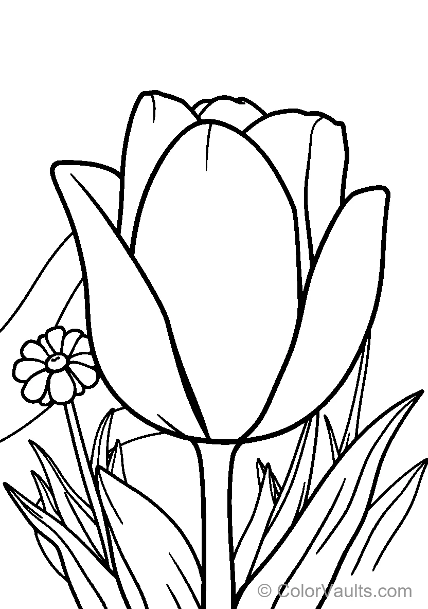 Tulip With Small Flower