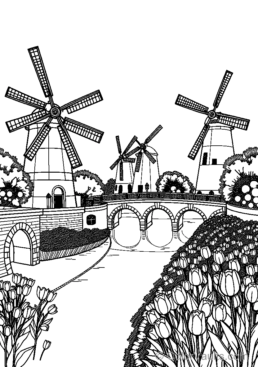 Windmill Bridge Tulip Field