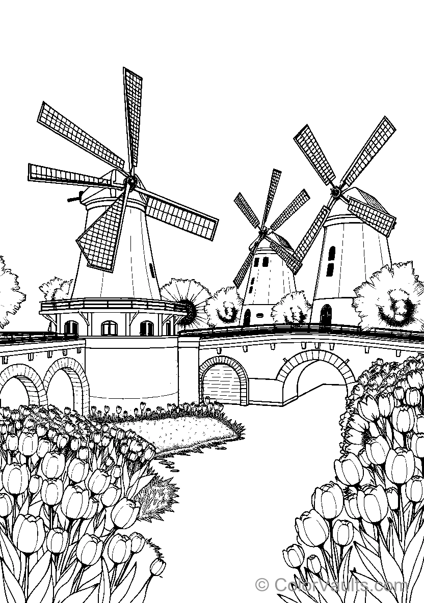 Windmill Landscape With Tulips