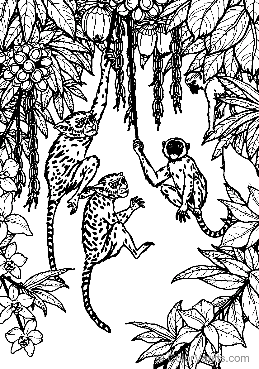 Jungle Monkeys Among Foliage