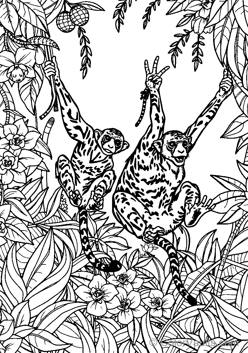 Monkey Jungle Adventure