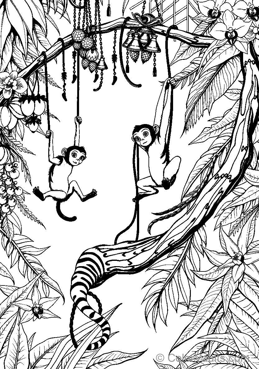Monkeys Swinging From Trees