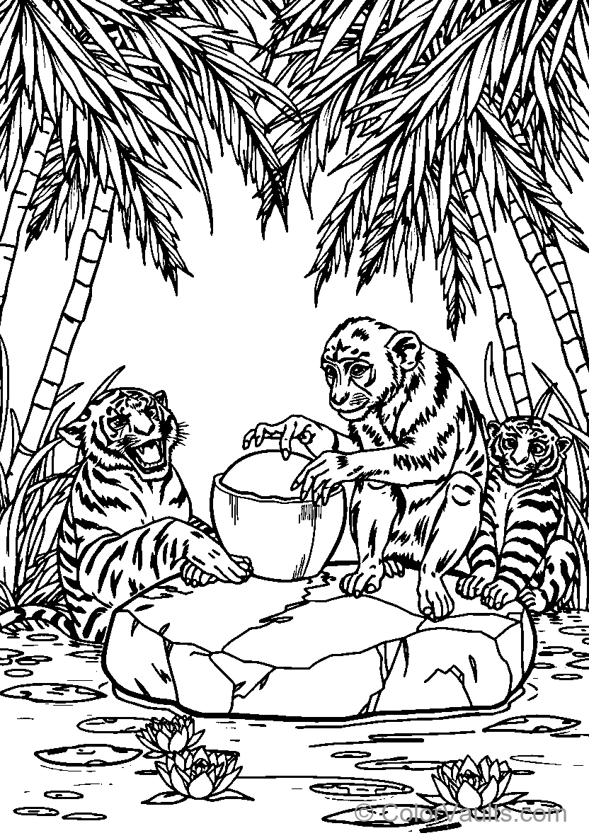 Tiger Monkeys By Water