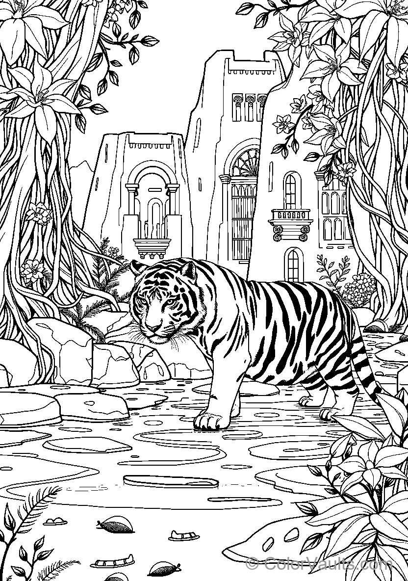 Tiger And Zebra In Jungle