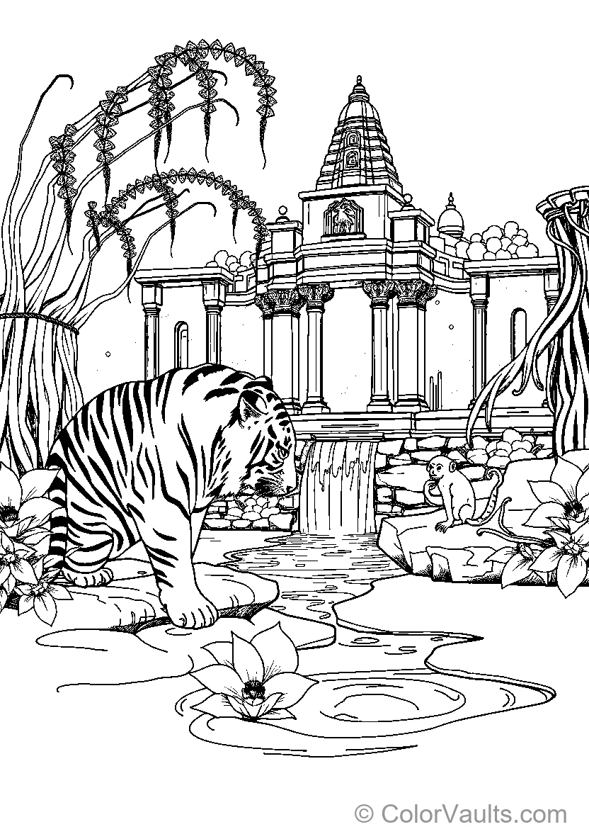 Tiger In Front Of Temple