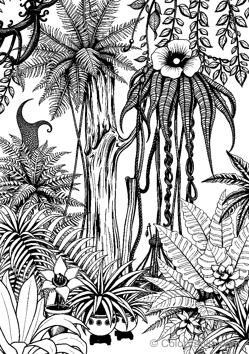 Whimsical Jungle Adventure