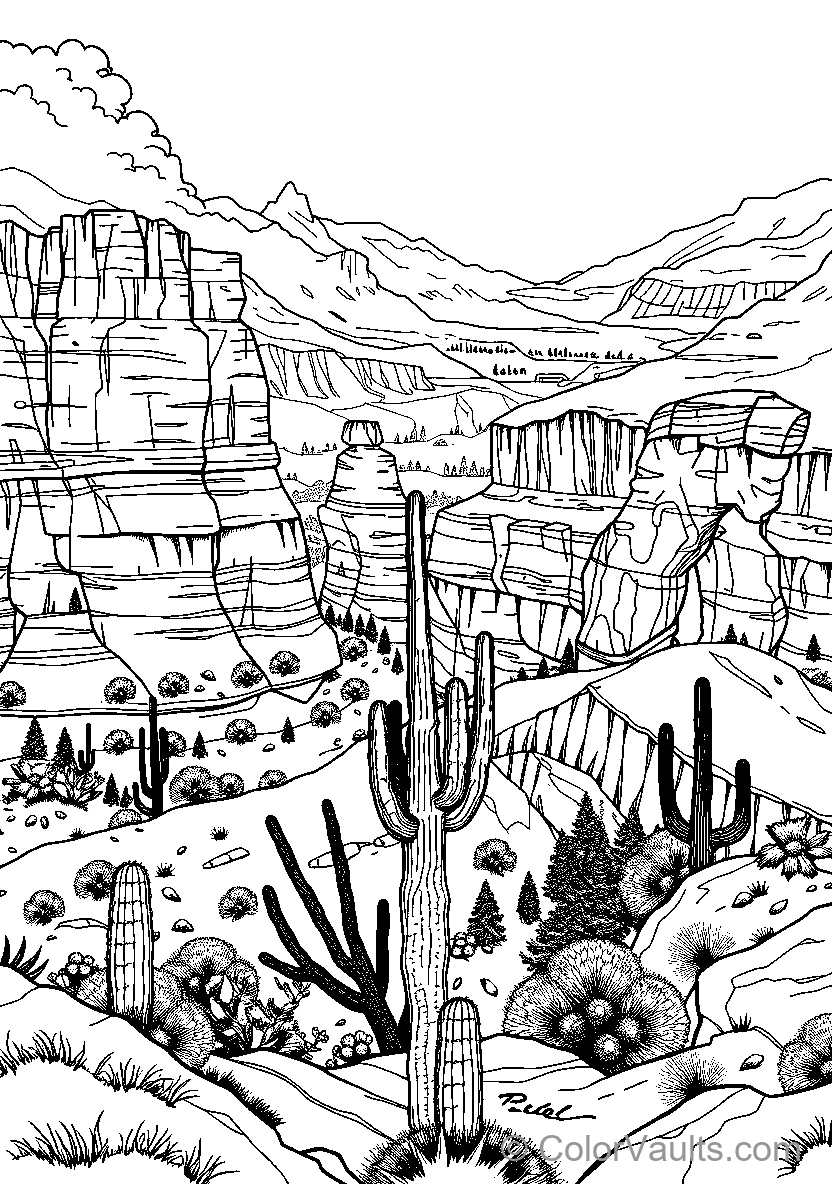 Grand Canyon Desert Landscape
