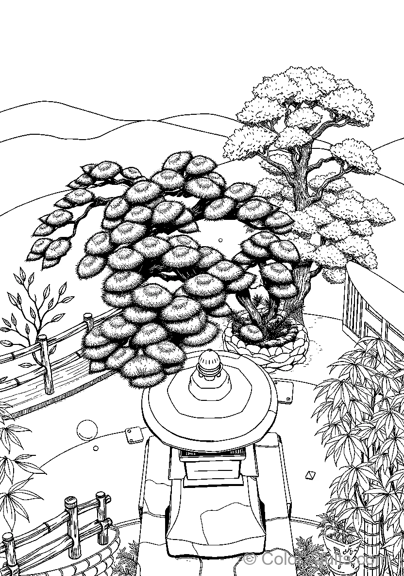 Mandala In Nature