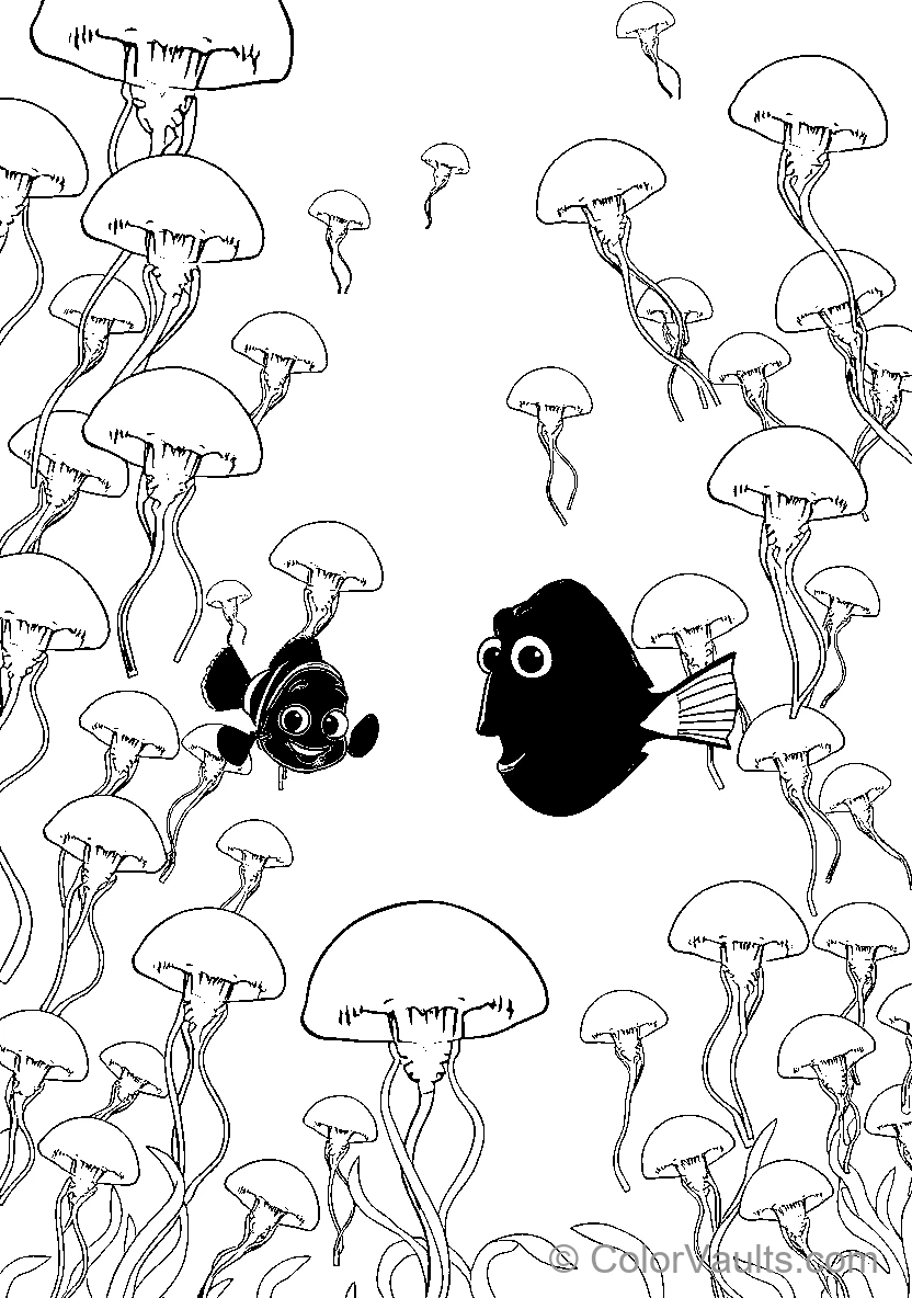 Jellyfish Encounter