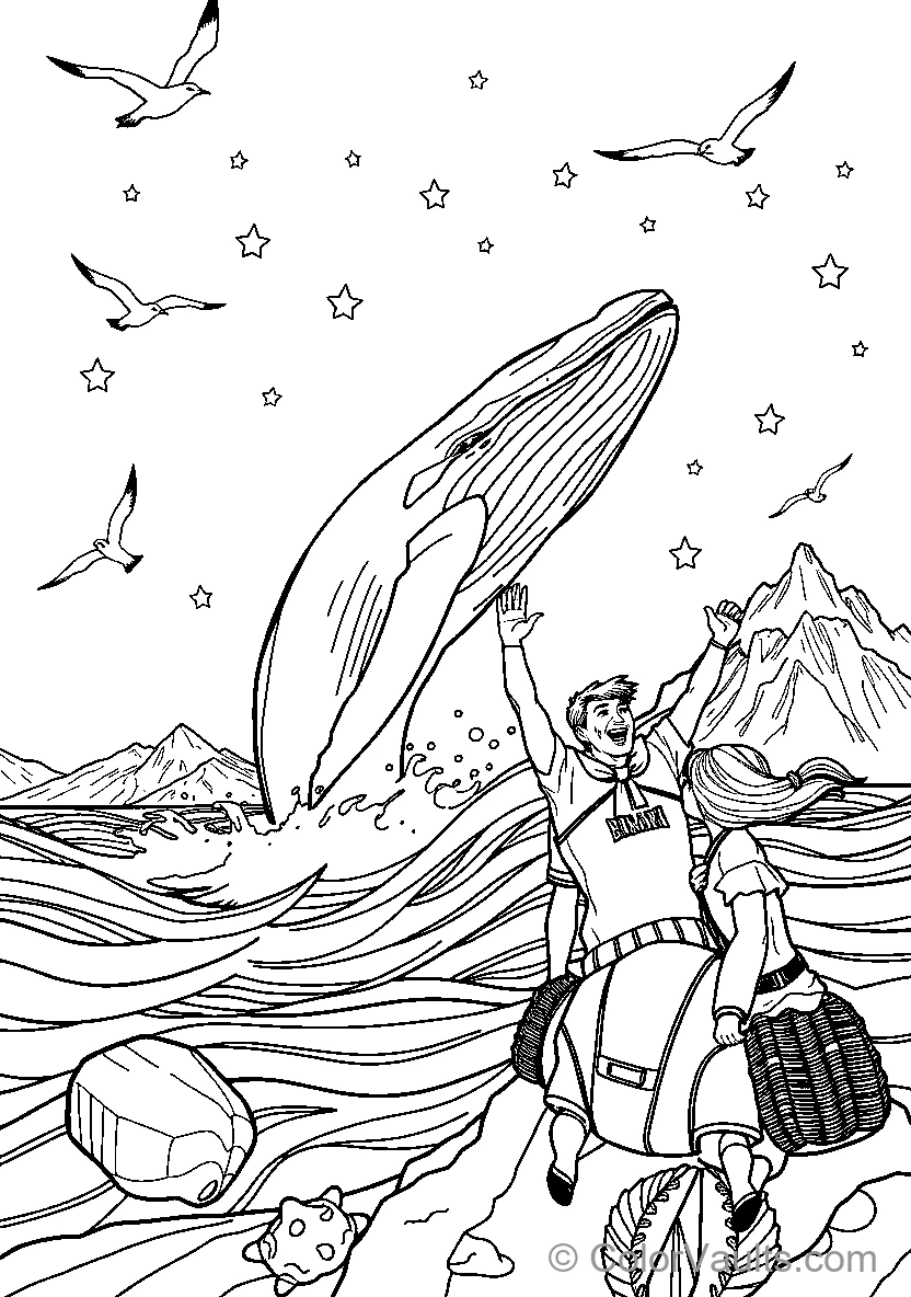 Whale Encounter
