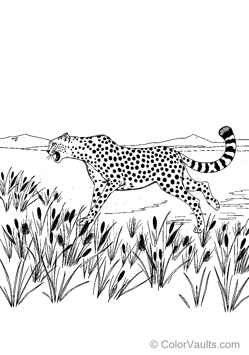 Cheetah Sprinting Through Grass