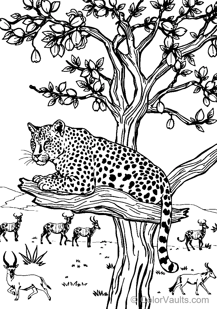 Leopard At Rest
