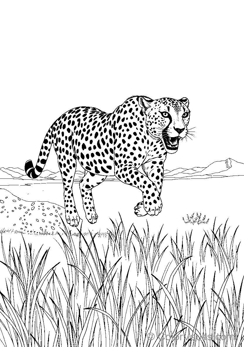 Leopard In Motion