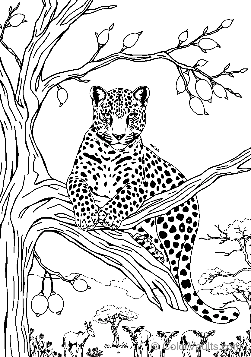 Leopard In Tree