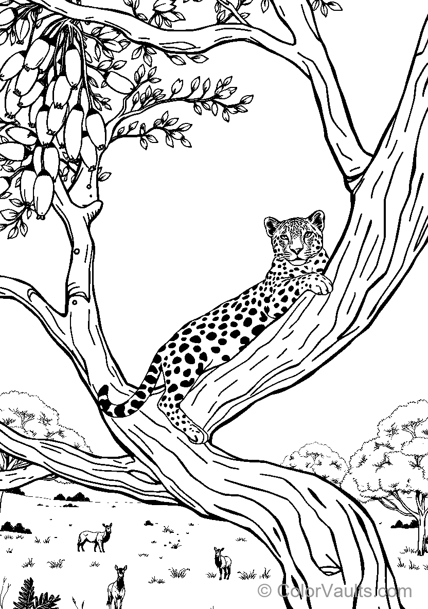 Leopard In Tree (Scene 3)